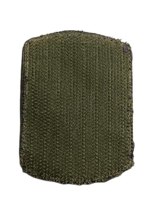 U.S. Army Patch - 39th Infantry Brigade Combat Team (OCP) - Surplus Militar