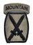 U.S. Army Patch - 10th Mountain Division Combat Service Identification